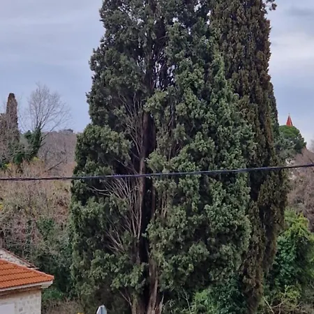 Croatia With With Jacuzzi דירה טרוגיר